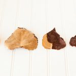 chocolate covered fall leaves