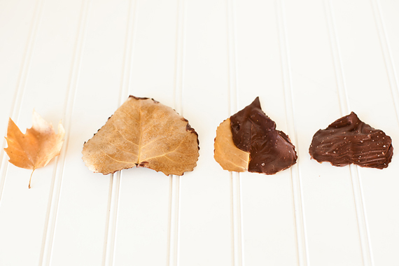 chocolate covered fall leaves
