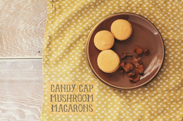 candy cap mushroom macarons baking bird0