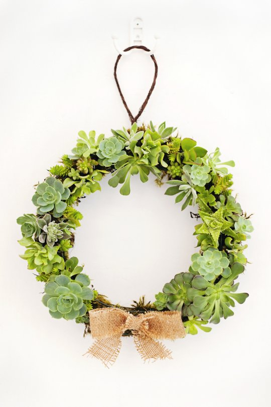 Project Fairytale: DIY Succulents and Moss Christmas Wreath