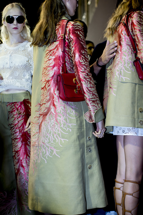 Project Fairytale: Magic Details at Valentino Spring  2015
