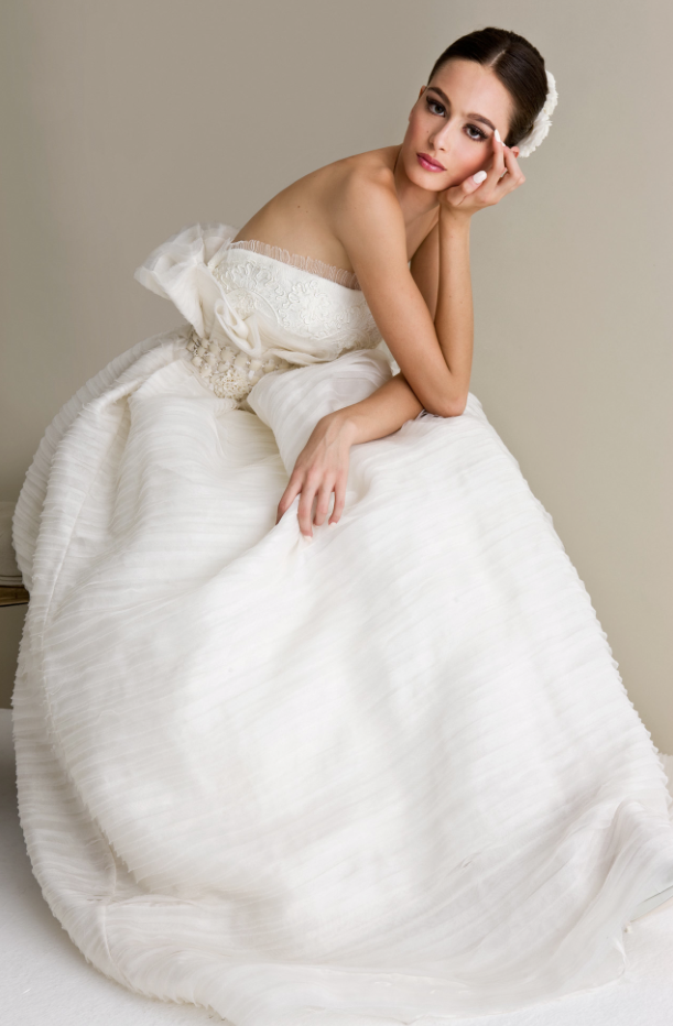 Project Fairytale: Dream Wedding Dress