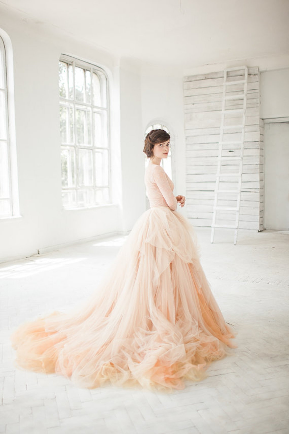 @pfairytale Carousel Wedding Dresses