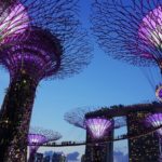 @projectfairytale Your Singapore Travel Guide