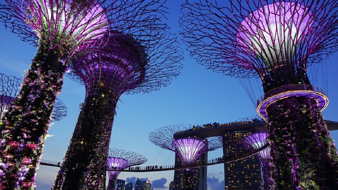 @projectfairytale Your Singapore Travel Guide